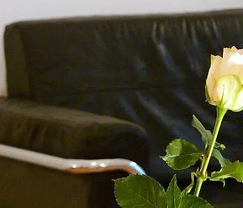 Hotel Apartment Strohgasse Vienna Austria